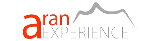 Aranexperience