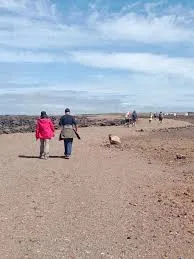 Ecolandlovers — Lanzarote