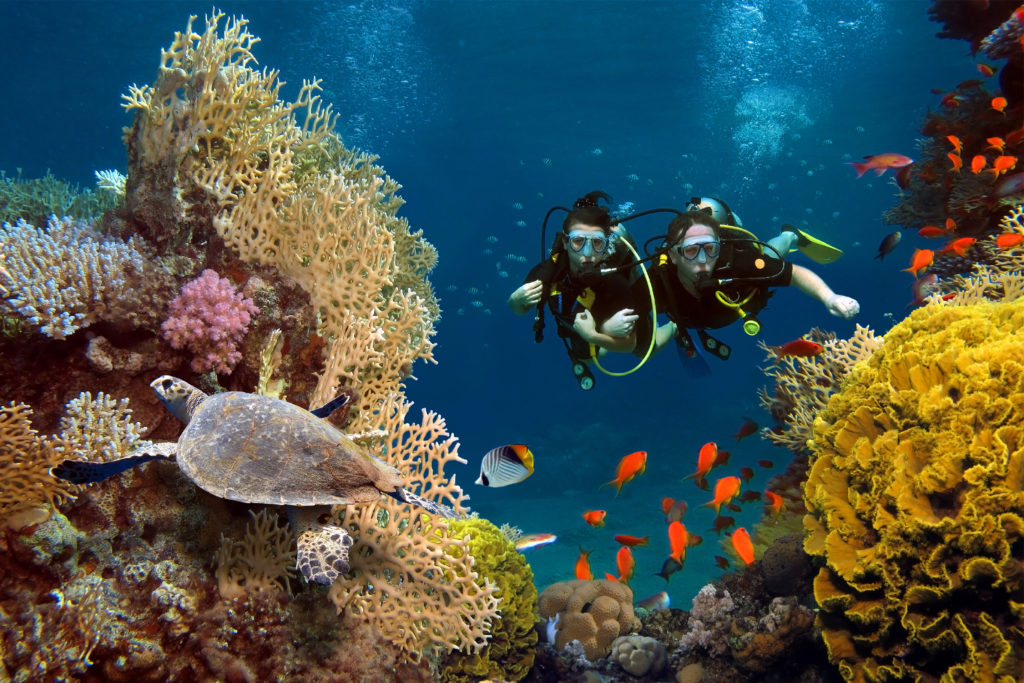 Booking System for Scuba Tours