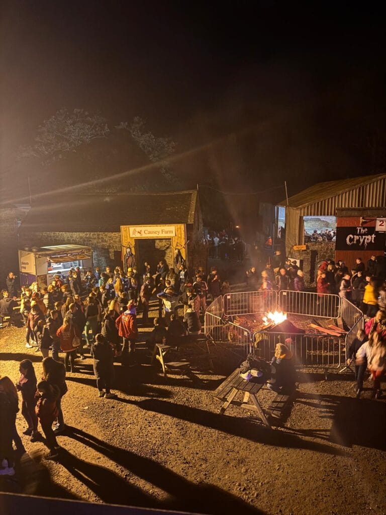 Cómo TuriTop Ayudó a Farmaphobia a Conseguir Éxito 4 blog farmaphobia 1