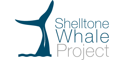 shelltone whale project