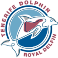 tenerife dolphin