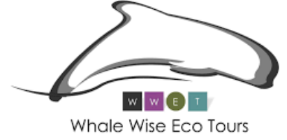 whalewise ecotours